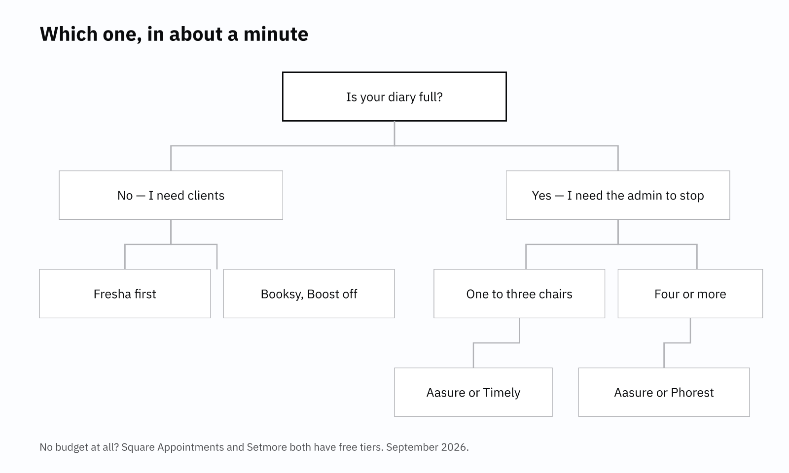 Decision flowchart for choosing salon software, branching first on whether the diary is full and then on team size, ending in five recommendations.